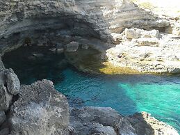 Bed & Breakfast Plaza