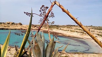 Bed & Breakfast Plaza