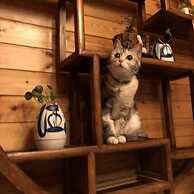 B&B  under  GreatWall