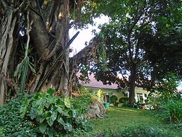 Themi Valley Eco  Tourism Homestay