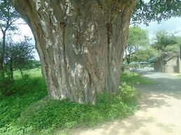 Themi Valley Eco  Tourism Homestay