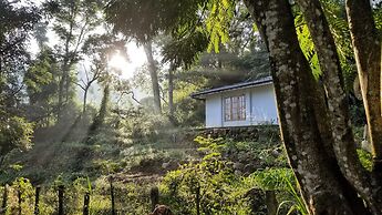 Jungle Tide Bungalow