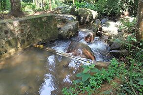 Jungle Tide Bungalow