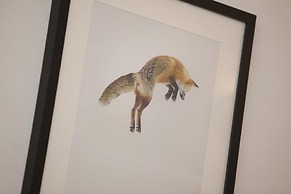 Fox Den