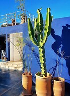 Zwin Zwin Boutique Hôtel & SPA