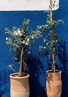 Zwin Zwin Boutique Hôtel & SPA