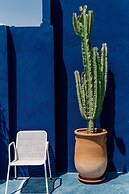 Zwin Zwin Boutique Hôtel & SPA