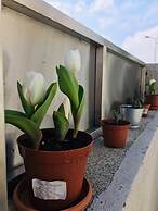 Boavista Villa Guesthouse