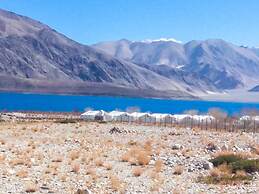 Camp Nirvana Pangong