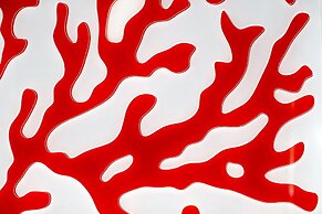 Il Mare Dentro Rooms