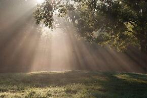 Domaine des Etangs, Auberge Resorts Collection