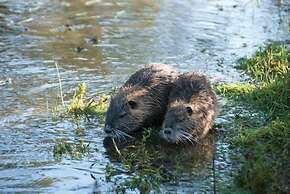 Domaine des Etangs, Auberge Resorts Collection