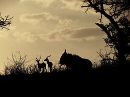 African Spirit Game Lodge