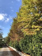 Love To Stick Together