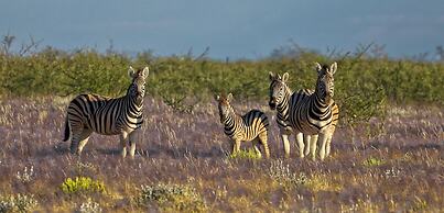 Etosha Mountain Lodge