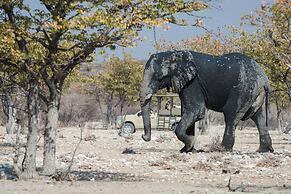 Etosha Mountain Lodge