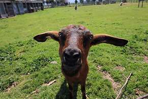 Agriturismo Porta Sirena