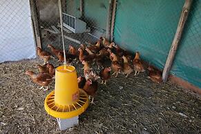 Agriturismo Porta Sirena