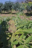 Agriturismo Porta Sirena