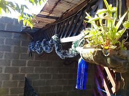 Coraizone Hostal - Hostel