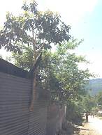 Coraizone Hostal - Hostel