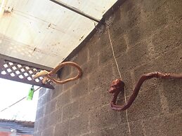 Coraizone Hostal - Hostel