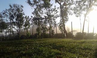 Coraizone Hostal - Hostel