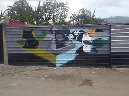 Coraizone Hostal - Hostel