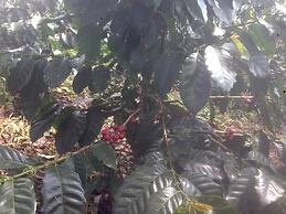 Coraizone Hostal - Hostel