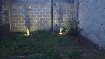 Coraizone Hostal - Hostel