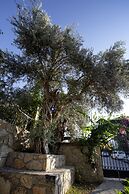 Pharos Boutique Hotel