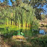 Rarumpelpunzeldornaschenwittchen