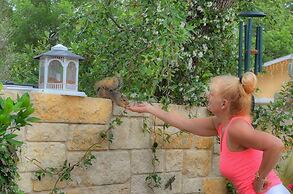 Rarumpelpunzeldornaschenwittchen