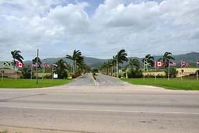 Tranquillity at The Palms