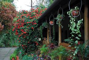 Tranquil Resort - BluSalzz Collection, Wayanad