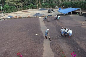 Tranquil Resort Wayanad