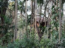 Tranquil Resort Wayanad