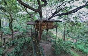 Tranquil Resort Wayanad