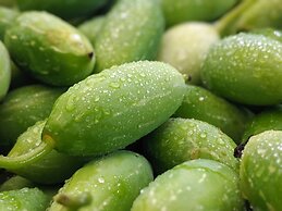 Tranquil Resort Wayanad