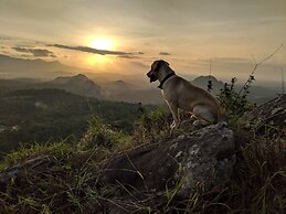 Tranquil Resort Wayanad
