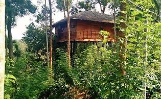 Tranquil Resort Wayanad