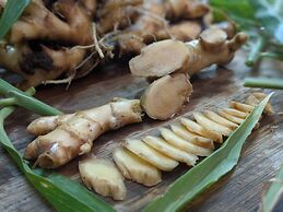 Tranquil Resort Wayanad