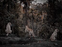 Tranquil Resort Wayanad