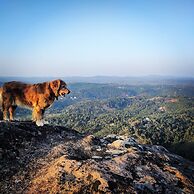 Tranquil Resort Wayanad