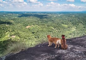 Tranquil Resort Wayanad