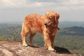 Tranquil Resort Wayanad