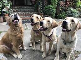 Tranquil Resort Wayanad