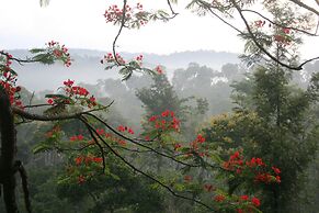 Tranquil Resort Wayanad