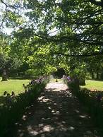 Charme of Villa Capannina