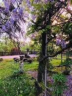 Charme of Villa Capannina